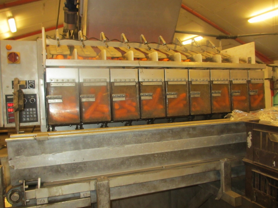 3844 Newtec 2009G Multi head weigher for carrots / potatoes