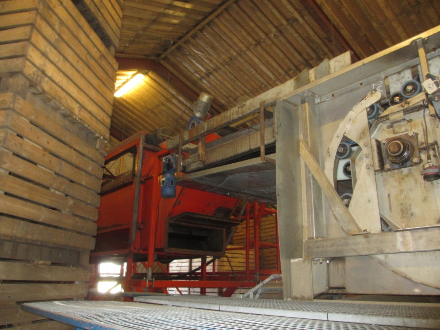3861 EKKO complete washing and grading line for carrots etc