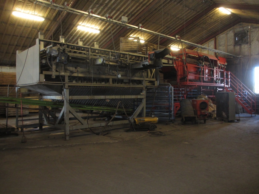 3861 EKKO complete washing and grading line for carrots etc