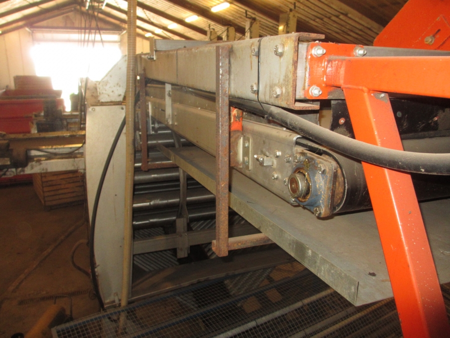 3861 EKKO complete washing and grading line for carrots etc