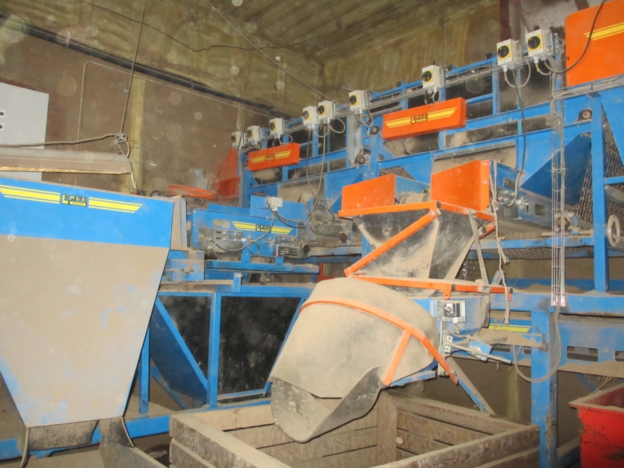 3875 EMVE screen grader line for potato/onion year 2009