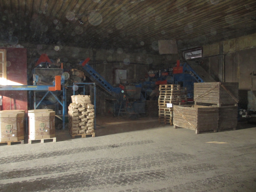 3875 EMVE screen grader line for potato/onion year 2009