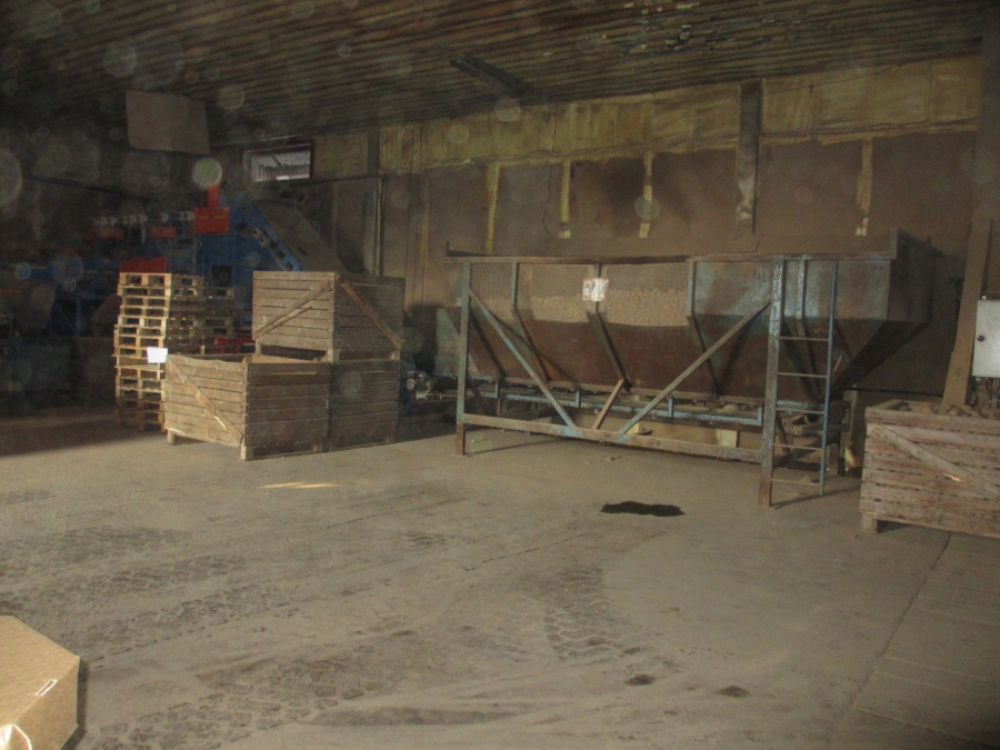 3875 EMVE screen grader line for potato/onion year 2009