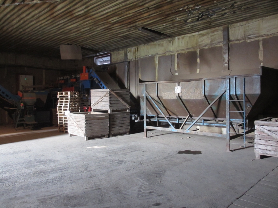 3875 EMVE screen grader line for potato/onion year 2009