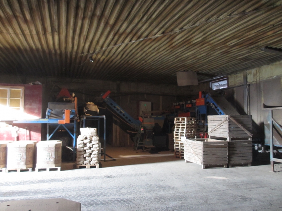 3875 EMVE screen grader line for potato/onion year 2009