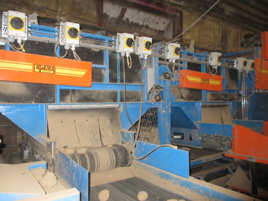 3875 EMVE screen grader line for potato/onion year 2009
