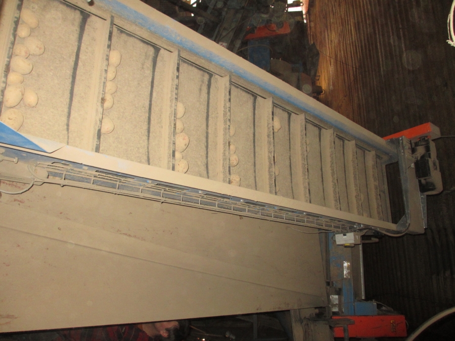 3875 EMVE screen grader line for potato/onion year 2009
