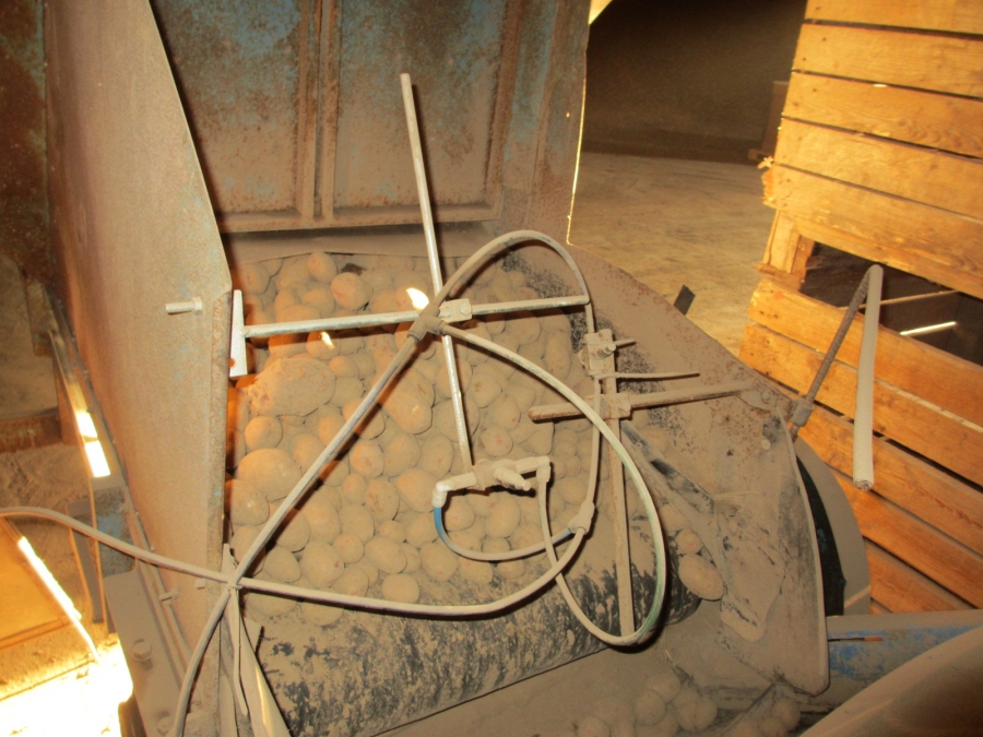 3875 EMVE screen grader line for potato/onion year 2009