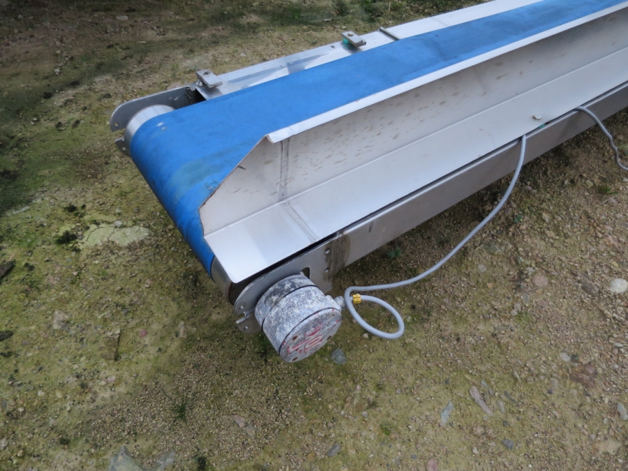 3927 plain conveyor stainless 6250x350 mm