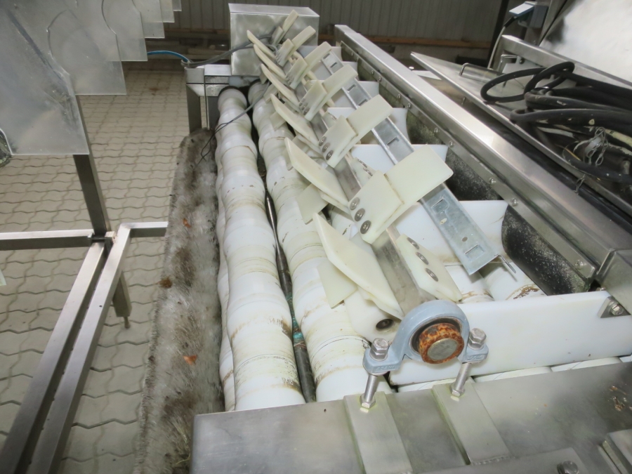 3961 Newtec Astro optical sorter grader