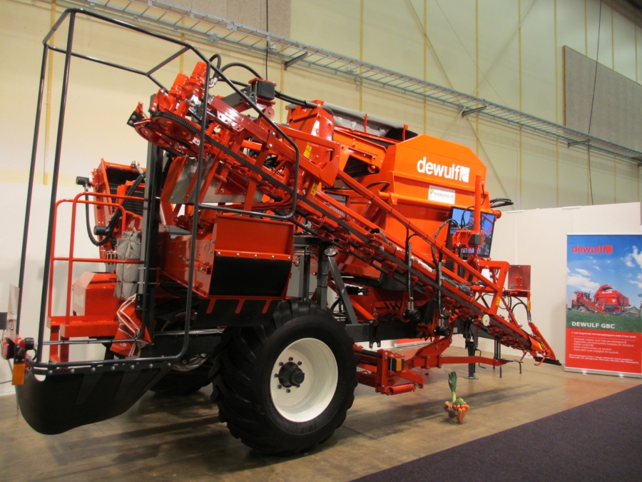 3970 DEWULF GBC carrot harvester with bunker