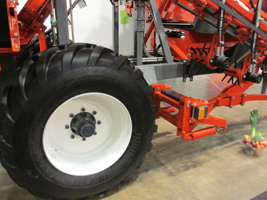3970 DEWULF GBC carrot harvester with bunker