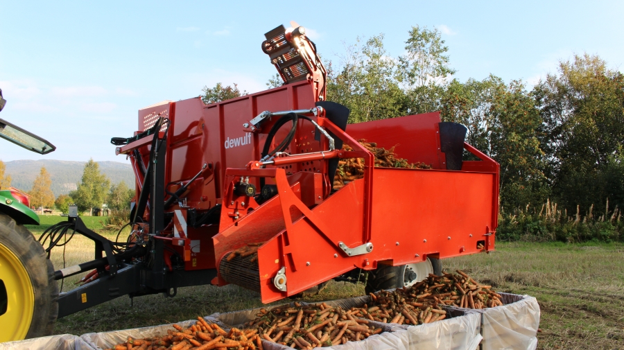 3970 DEWULF GBC carrot harvester with bunker