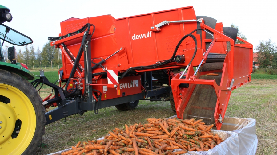 3970 DEWULF GBC carrot harvester with bunker
