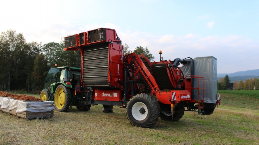 3970 DEWULF GBC carrot harvester with bunker