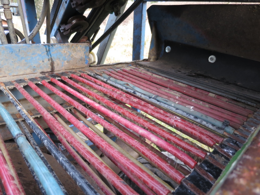 3975 Asa-Lift carrot harvester 1 row with elevator