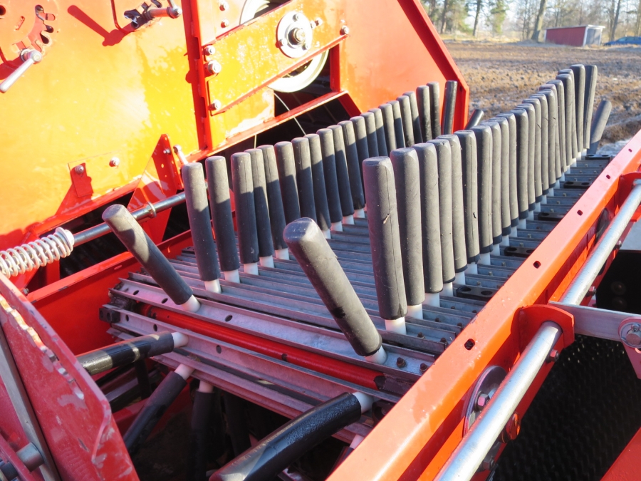 4036 Grimme SE75-20 potato harvester