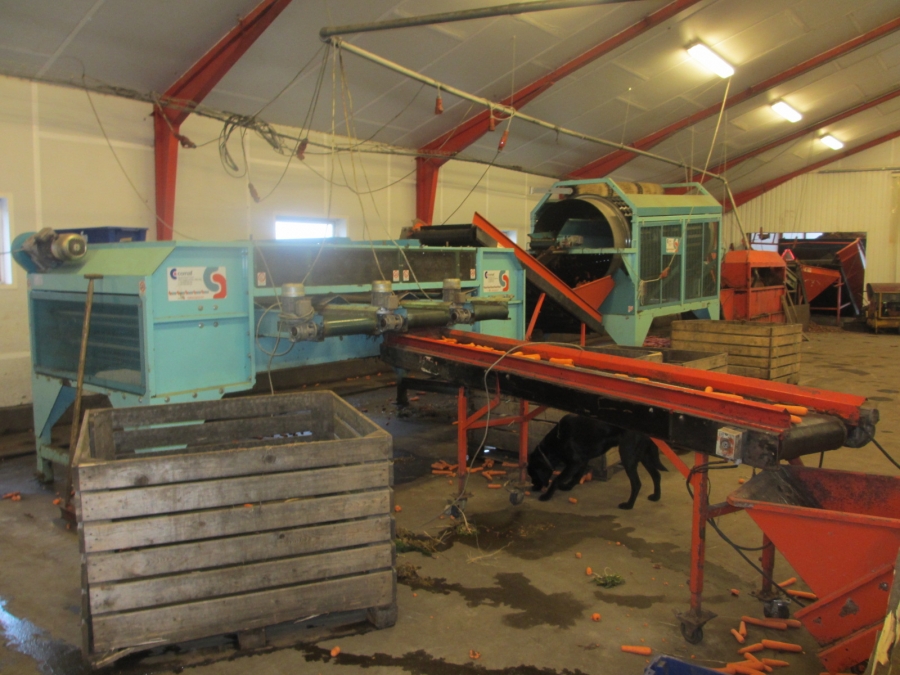 4067 Comaf Sammo small piece grader for carrots etc