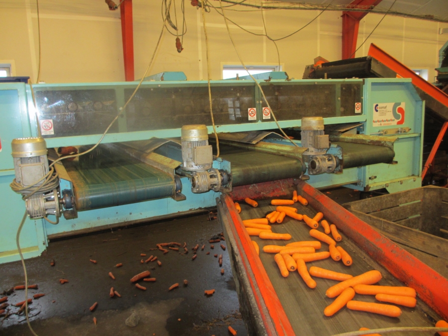 4067 Comaf Sammo small piece grader for carrots etc